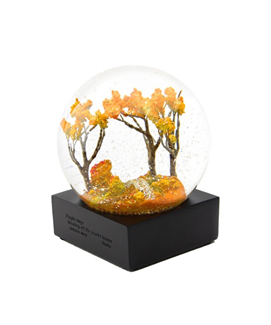 Cool Snow Globes