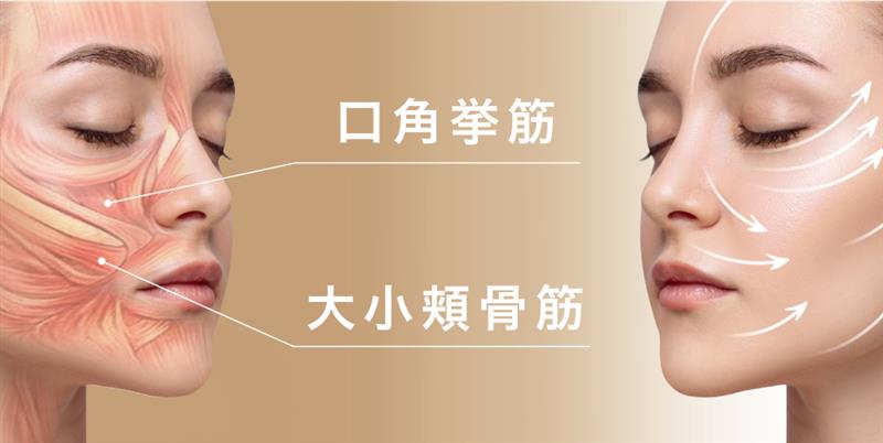 BRUNO フェイシャルリフト グリーン BRUNObeauty / 温冷EMSフェイシャルリフト グリーンの公式商品