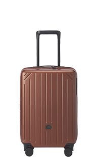 CARRY BAG