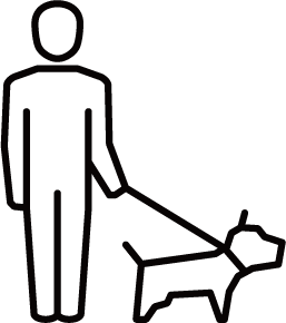 愛犬との散歩に