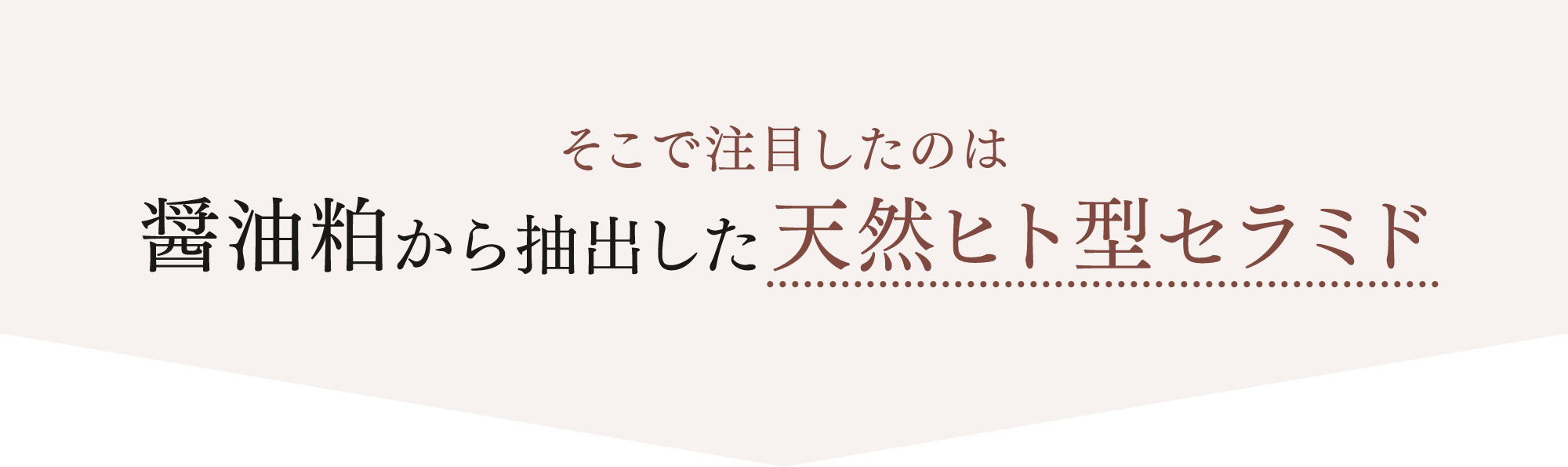 そこで注目したのは醤油粕から抽出した天然ヒト型セラミド