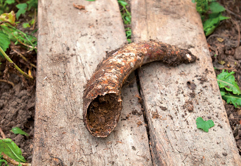 化学肥料や農薬、必要以上に栄養素を与えない農法