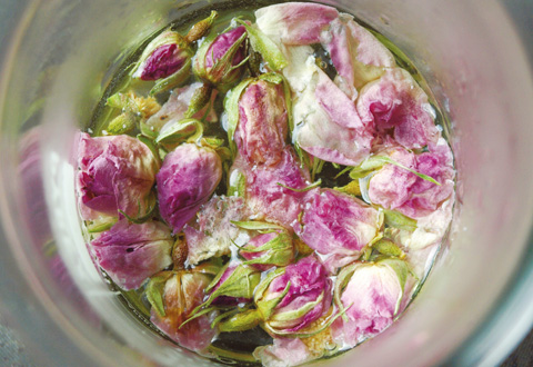 植物エキスの作り置きを一切行わず、目的にあわせた精油やエキスをその都度抽出したものをたっぷりと