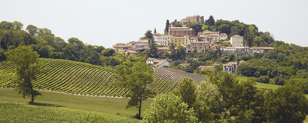 北イタリアの豊かな土壌