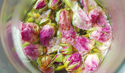 5.一部のダマスクローズは乾燥させて、エキスの抽出